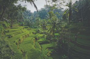 Μια ιστορία για τη βιώσιμη επιχειρηματικότητα