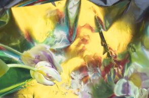 Το έργο της Αγγελικής Δομπρογιάννη "Silence"