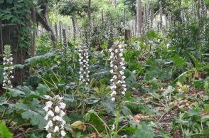 Από το Πεδίον του Άρεως στη Φωκίωνος Νέγρη: Η προσωπική διαδρομή του Κωνσταντίνου Ματσούκα 