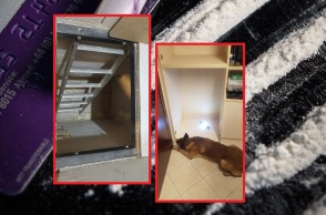 Θεσσαλονίκη: Κατάσχεση 6 κιλών κοκαΐνης και δύο συλλήψεις - Συνδέονται με το πολυμελές κύκλωμα που μετέφερε 265 κιλά κοκαΐνης από τη Λατινική Αμερική.