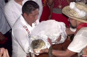 Μεξικό: Viral ο δήμαρχος που παντρεύτηκε κροκόδειλο