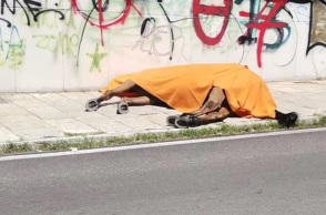 Κέρκυρα: Συνελήφθη ο ιδιοκτήτης του αλόγου - Πρόστιμο 30.000