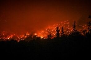 Φωτιά στο Αίγιο