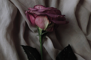 Ημερολόγιο πένθους: Ο θάνατος της μαμάς