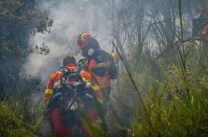Ηράκλειο: Επιχείρηση της πυροσβεστικής για πυρκαγιά ανάμεσα σε Γοργολαϊνι και Κρουσώνα – Ισχυρές δυνάμεις επιχειρούν στις εστίες της φωτιάς.
