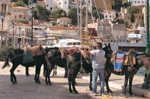 Γαϊδουράκια στο λιμάνι της Ύδρας