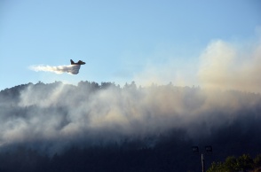 Φωτιά τώρα στη Φθιώτιδα