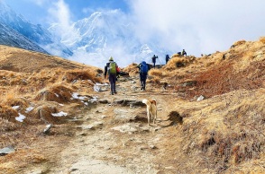 Περπάτημα: Τα σπουδαία οφέλη για την υγεία - Μεγάλη παγκόσμια έρευνα - Ο «μαγικός αριθμός» ημερήσιων βημάτων που μειώνει τους κινδύνους καρδιαγγειακών παθήσεων.
