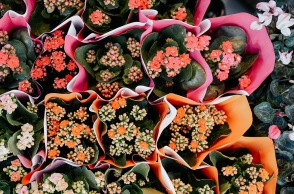 Εορτολόγιο: Σήμερα 1 Δεκεμβρίου 2023 γιορτάζει...