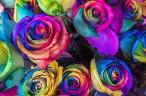 Εορτολόγιο: Σήμερα 20 Αυγούστου γιορτάζει…