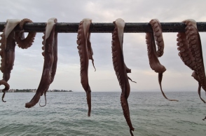 Οι αγαπημένες μου ταβέρνες στο Νότιο Πήλιο.