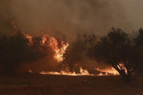 Φωτιά στον Ασπρόπυργο
