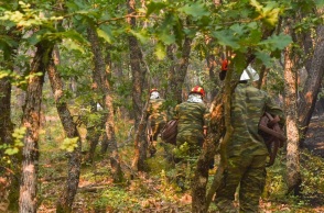 Φωτιά στον Έβρο: Εντοπίστηκαν 18 απανθρακωμένοι μετανάστες - Ήταν μέλη καραβανιού που είχε φτάσει στη χώρα μας