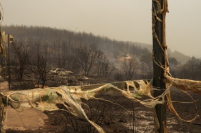 Φωτιά στον Έβρο: Ανασύρθηκαν οι σωροί επιπλέον οκτώ ατόμων στην περιοχή του Άβαντα - Στους 26 ανέρχονται πλέον οι νεκροί - Πού στρέφονται οι έρευνες.