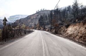 Φωτιά στη Φυλή