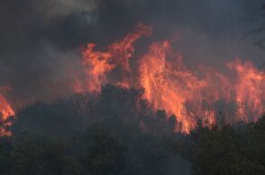 Φωτιά στην Αλεξανδρούπολη