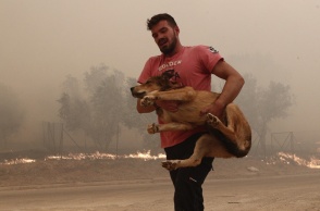 Η μεταφορά σε ασφαλές μέρος ζώων που κινδύνευσαν από τη φωτιά στη Φυλή