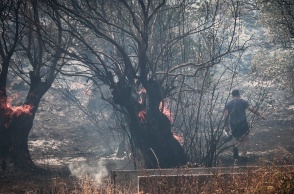 Πολίτης δίπλα από φλεγόμενο δέντρο 