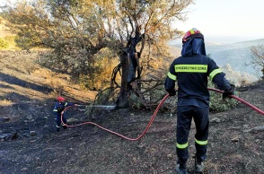 Πυροσβέστες με τη μάνικα ανά χείρας επιχειρούν σε φωτιά στην Κάρυστο