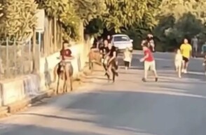 Γαϊδουροδρομίες στη Λέσβο