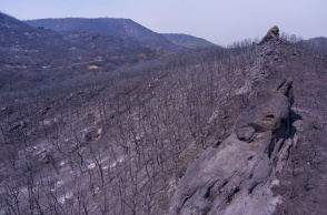 Φωτιά Έβρος - Καμένα στρέμματα