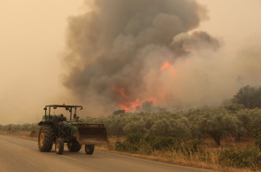 Φωτιά στον Έβρο