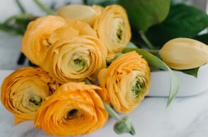 Εορτολόγιο: Σήμερα 19 Νοεμβρίου 2024 γιορτάζει…