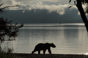Κατμάι: Το παρθένο βασίλειο της «παχιάς αρκούδας»  
