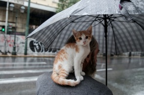 Πρόγνωση καιρού: Βροχές και σποραδικές καταιγίδες θα εκδηλωθούν από αύριο Δευτέρα, σύμφωνα με την Εθνική Μετεωρολογική Υπηρεσία.