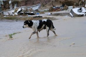 Κακοκαιρία Daniel: Σοβαρά προβλήματα από τις ισχυρές βροχοπτώσεις