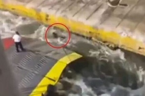 Ο Αντώνης Καρυώτης έχασε τη ζωή του γιατί τον έσπρωξαν στη θάλασσα