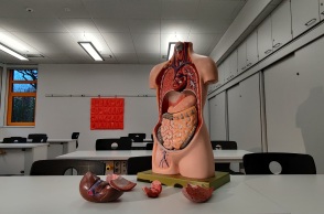 Χρήστος Χριστοδούλου: Δεν υπάρχει πρόληψη για τον καρκίνο του παγκρέατος 