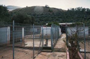 KAZ - Καταφύγιο ζώων στον Ωρωπό