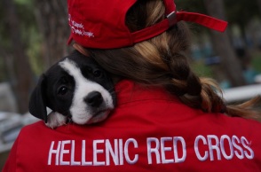 Παγκόσμια Ημέρα Ζώων: Πρώτες βοήθειες για σκύλους από τον Ελληνικό Ερυθρό Σταυρό - Τρεις εκπαιδευτικές ενότητες - Πώς μπορείτε να συμμετάσχετε. 