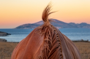 Κώστας Δελχάς: «Κάπου στο Αιγαίο» θα ξαναβρεθούμε