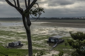 Αμαζόνιος: Λιμάνι στο τροπικό δάσος καταγράφει τη χαμηλότερη στάθμη νερού των τελευταίων 121 ετών εν μέσω ξηρασίας - Οι επιπτώσεις στο οικοσύστημα.