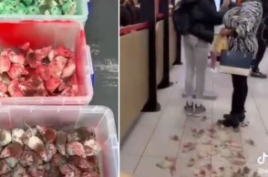 Βρετανία: Άνδρας πέταξε ποντίκια βαμμένα στα χρώματα της παλαιστινιακής σημαίας σε εστιατόριο της αλυσίδας Mc Donald’s - Έντρομοι οι πελάτες.