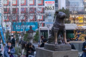 Ο πιο πιστός σκύλος της Ιαπωνίας γίνεται «100 ετών»