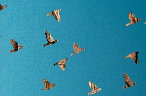 Για το μυθιστόρημα «Οι χαμένες μας καρδιές» της Celeste Ng (μετάφραση Μαρτίνα Ασκητοπούλου, 440 σελίδες, Εκδόσεις Μεταίχμιο)