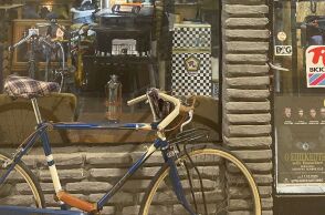 «Bike in the city»