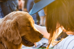 Συστροφή Στομάχου στον Σκύλο