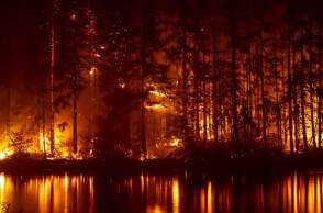 Περισσότερα από 800.000 στρέμματα καταστράφηκαν στον Έβρο σε μια πολυήμερη πυρκαγιά που αφάνισε το δάσος της Δαδιάς (ΦΩΤΟ: © Σάκης Γιούμπασης)