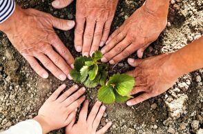 Πράσινοι: Πραγματοποιήθηκε το 3o Τακτικό Συνέδριο - Τα κείμενα που εγκρίθηκαν - Οι χαιρετισμοί των κομμάτων.