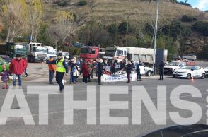 Αράχωβα: Συγκέντρωση διαμαρτυρίας για τον Όλιβερ από μέλη φιλοζωικών οργανώσεων - Θα πραγματοποιηθεί πορεία στους δρόμους της πόλης.