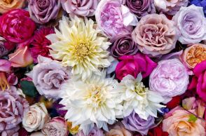 Εορτολόγιο: Σήμερα 28 Δεκεμβρίου γιορτάζει…