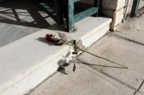 Ένα λουλούδι στο σημείο όπου διαπράχθηκε η αδελφοκτονία στη Νέα Σμύρνη