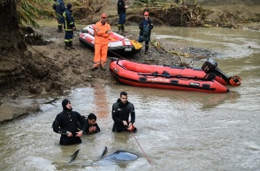 Στιγμιότυπο από τις έρευνες για τον εντοπισμό του 45χρονου Νίκου που παρασύρθηκε από χείμαρρο στο Πλουτοχώρι Ηλείας