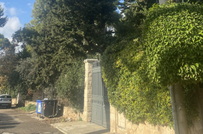 Σε βλέπω μέσα στα δέντρα