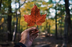 Ο Καναδάς είναι η πιο ασφαλής χώρα για ταξίδια το 2024, σύμφωνα με τη λίστα της BHTP - Οι παράγοντες αξιολόγησης - Οι 15 προορισμοί που βρίσκονται στην κορυφή.