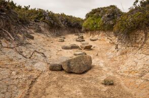 Ξηρασία και έλλειψη νερού